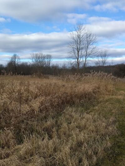 Semmel Road Park - Honeoye Falls, NY