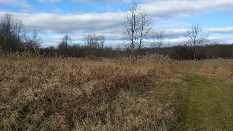 Semmel Road Park - Honeoye Falls, NY