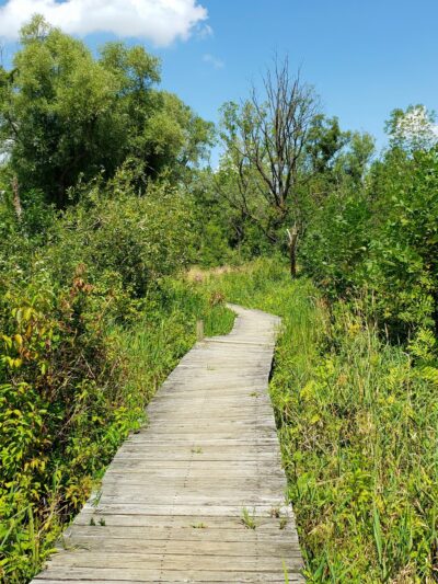 Sandy Bottom Park - Honeoye, NY
