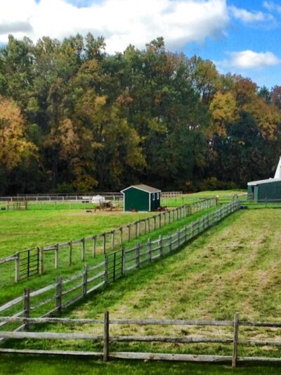 Shellbark Hollow Farm LLC - Honey Brook, PA
