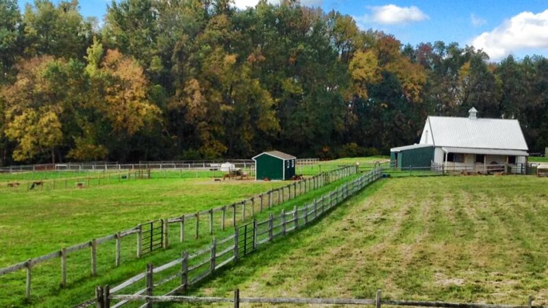 Shellbark Hollow Farm LLC - Honey Brook, PA