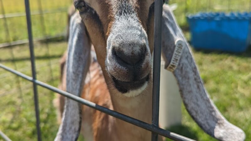 Shellbark Hollow Farm LLC - Honey Brook, PA
