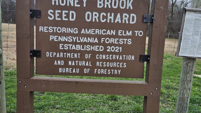 William Penn State Forest - Honey Brook, PA