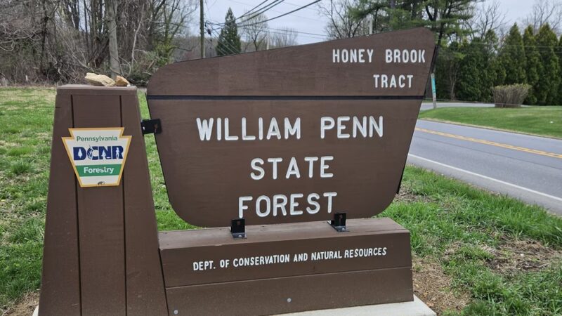 William Penn State Forest - Honey Brook, PA