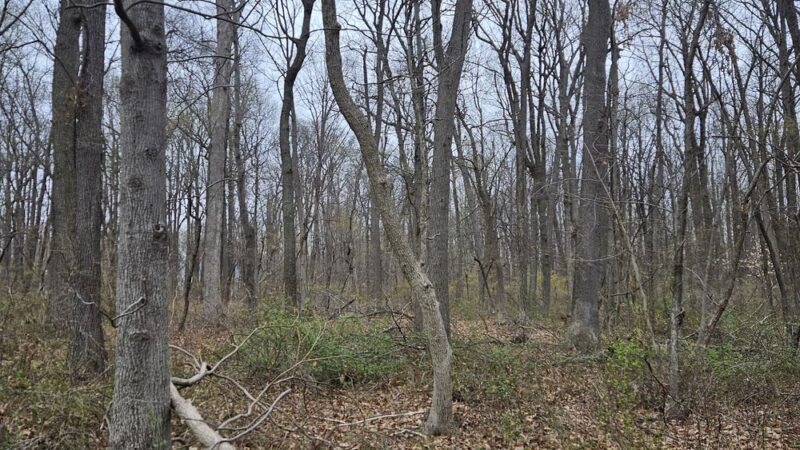 William Penn State Forest - Honey Brook, PA