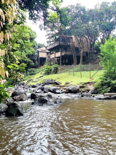 Judd Trail - Honolulu, HI