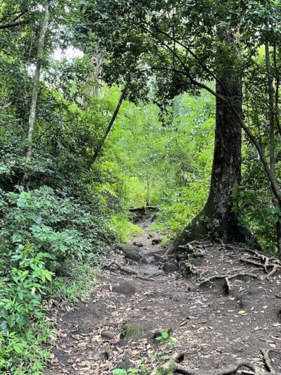 Kanealole Trail - Honolulu, HI