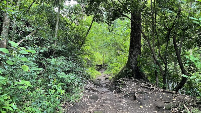 Kanealole Trail - Honolulu, HI