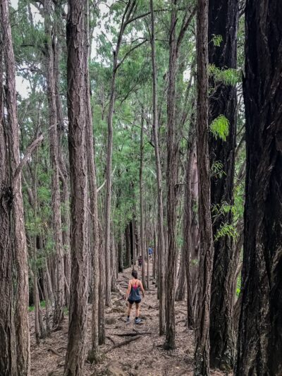 Kanealole Trail - Honolulu, HI