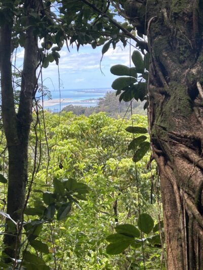 Kanealole Trail - Honolulu, HI