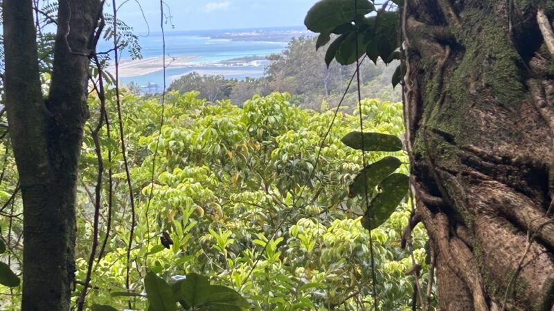 Kanealole Trail - Honolulu, HI