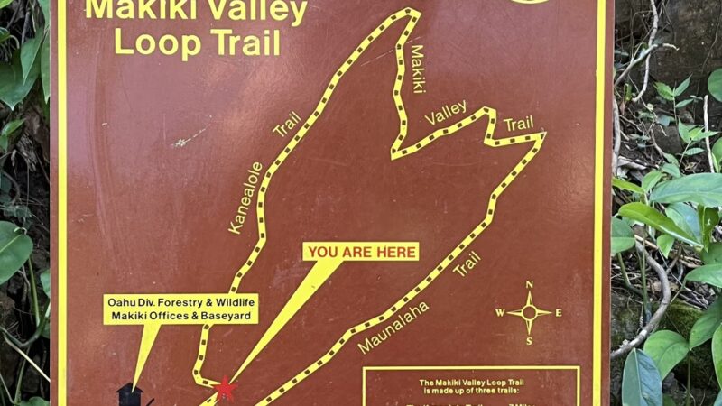 Makiki Valley Loop Trail - Honolulu, HI