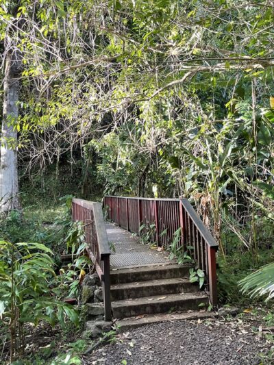 Makiki Valley Loop Trail - Honolulu, HI