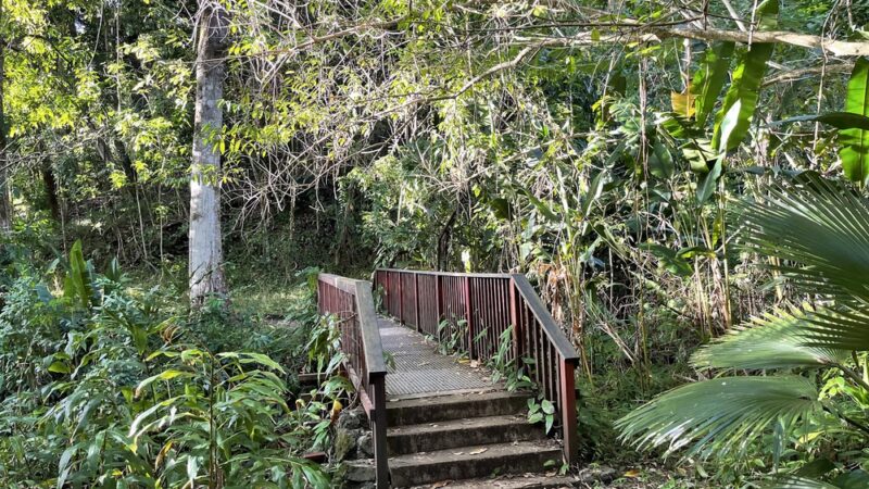 Makiki Valley Loop Trail - Honolulu, HI