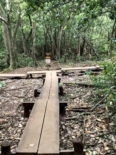 Pauoa Flats Trail - Honolulu, HI