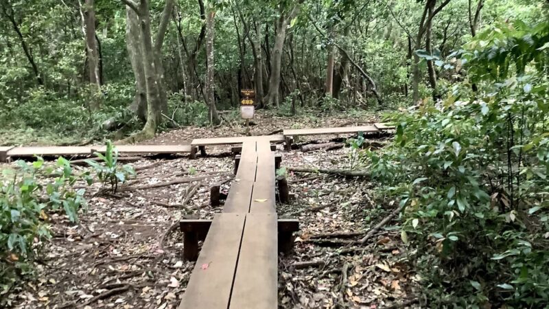 Pauoa Flats Trail - Honolulu, HI