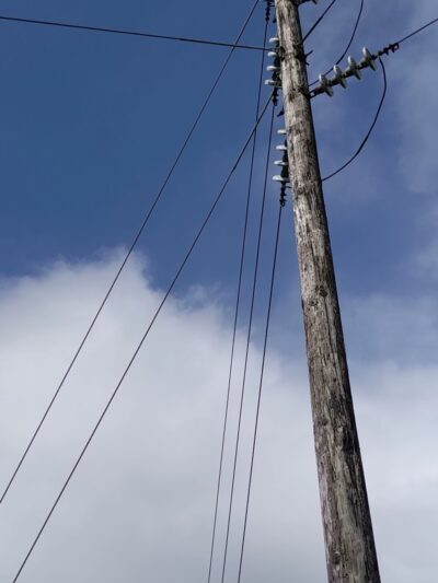 Pauoa Flats Trail - Honolulu, HI