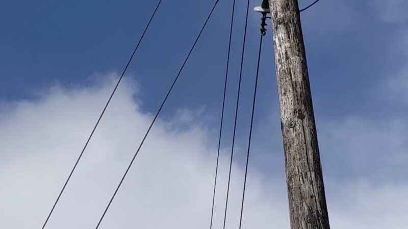 Pauoa Flats Trail - Honolulu, HI