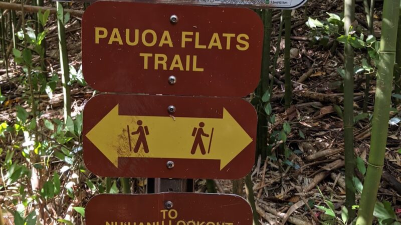 Pauoa Flats Trail - Honolulu, HI