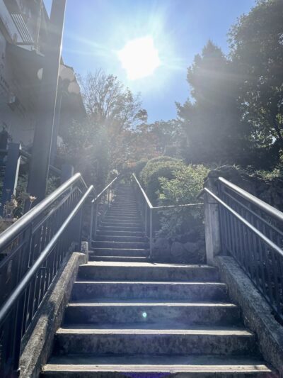 2nd Street Stairs - Hood River, OR