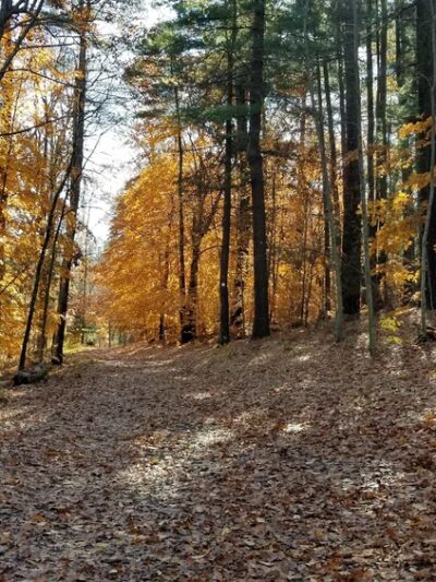 Hopedale Park - Hopedale, MA