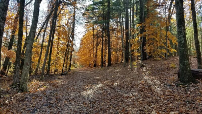 Hopedale Park - Hopedale, MA