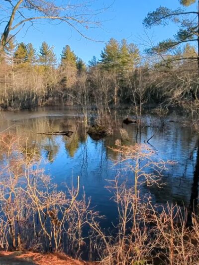 Hopedale Parklands - Hopedale, MA