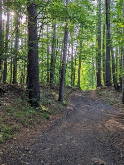 Hopedale Parklands - Hopedale, MA