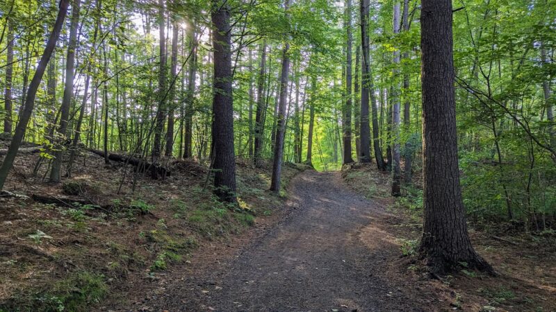 Hopedale Parklands - Hopedale, MA