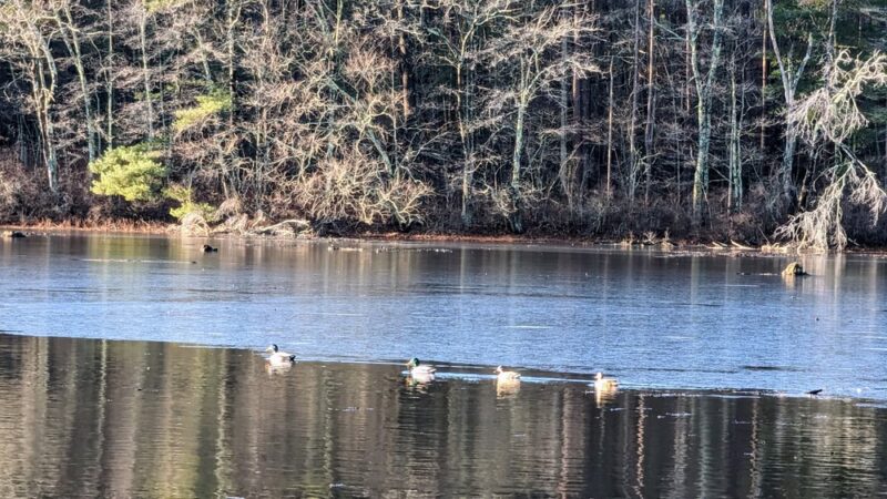 Hopedale Parklands - Hopedale, MA