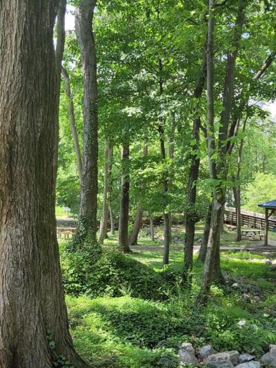 Crystal Lake Park - Hopewell, VA
