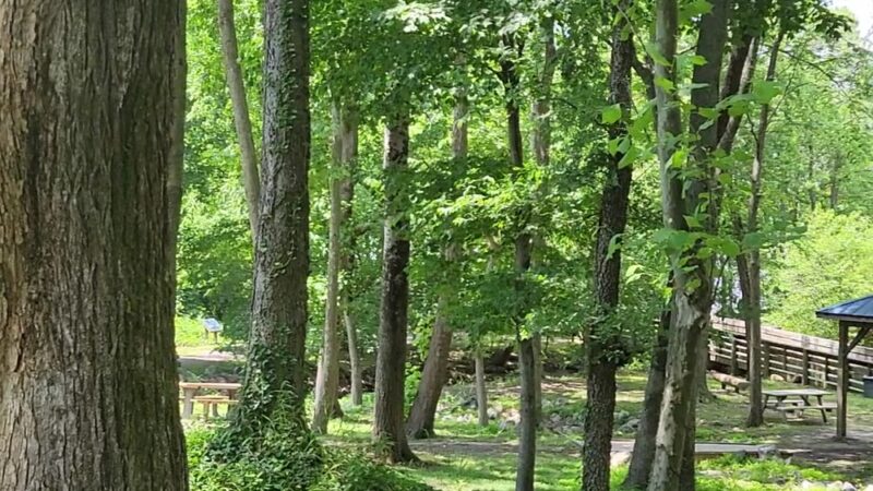 Crystal Lake Park - Hopewell, VA