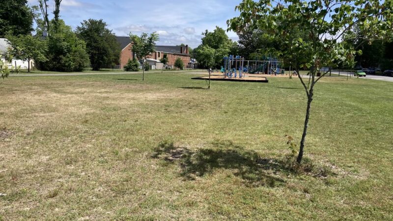 Woodlawn Park - Hopewell, VA
