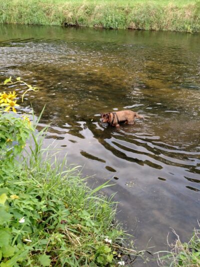 Hopkins Park - Hopkins Park, IL