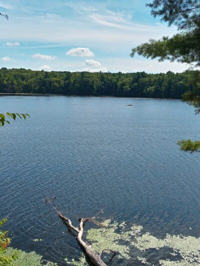 Whitehall State Park - Hopkinton, MA