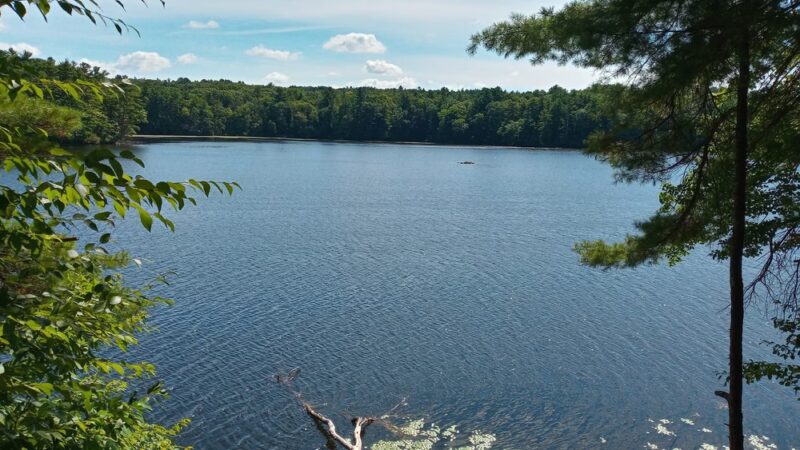 Whitehall State Park - Hopkinton, MA