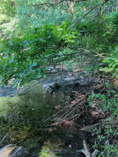 Whitehall State Park - Hopkinton, MA