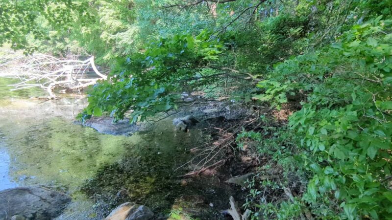 Whitehall State Park - Hopkinton, MA