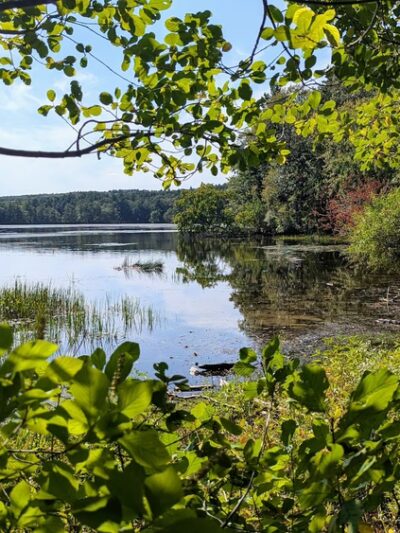 Whitehall State Park - Hopkinton, MA