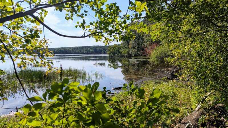 Whitehall State Park - Hopkinton, MA