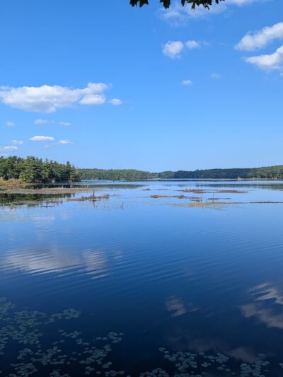 Whitehall State Park - Hopkinton, MA