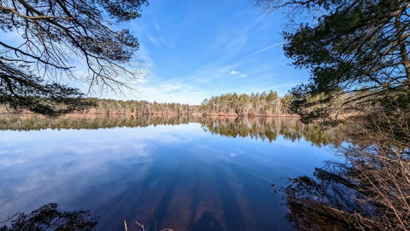 Whitehall State Park - Hopkinton, MA