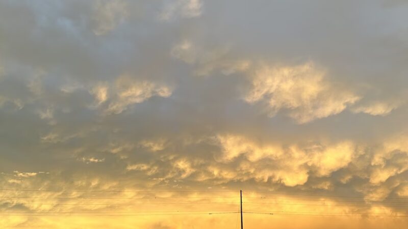 Gum Springs Park - Hoschton, GA