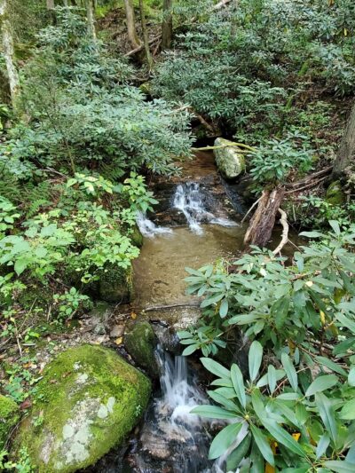 Betty Place Trail & Bluff Mountain Loop - Hot Springs, NC