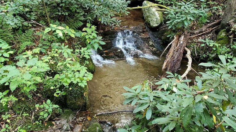 Betty Place Trail & Bluff Mountain Loop - Hot Springs, NC