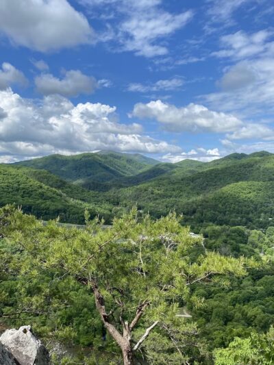 Lover's Leap Hiking Trail - Hot Springs, NC