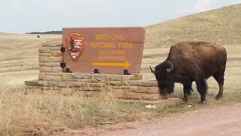 Elk Mountain Campground - Hot Springs, SD