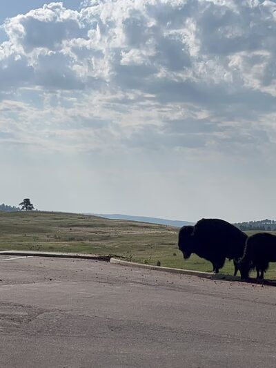 Elk Mountain Campground - Hot Springs, SD