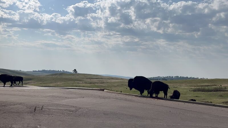 Elk Mountain Campground - Hot Springs, SD