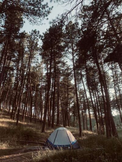Elk Mountain Campground - Hot Springs, SD